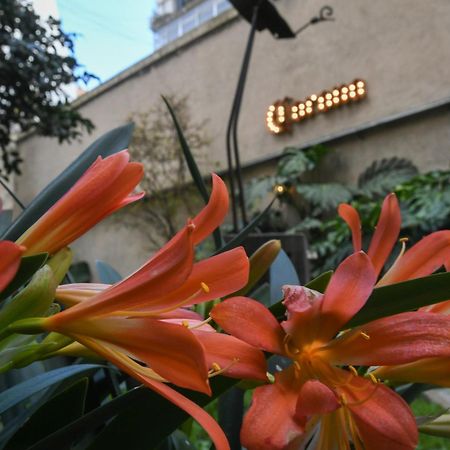Casa Franca Recoleta Hostel Boutique Буенос Айрес Екстериор снимка